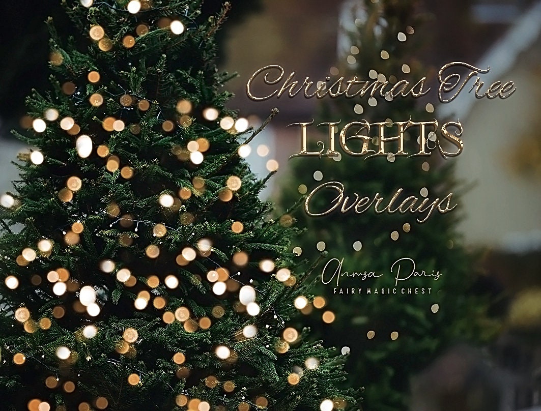 Detail Christmas Tree Lights Png Nomer 48