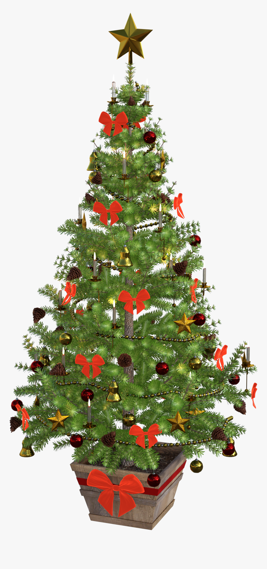 Detail Christmas Tree Photos Free Nomer 23