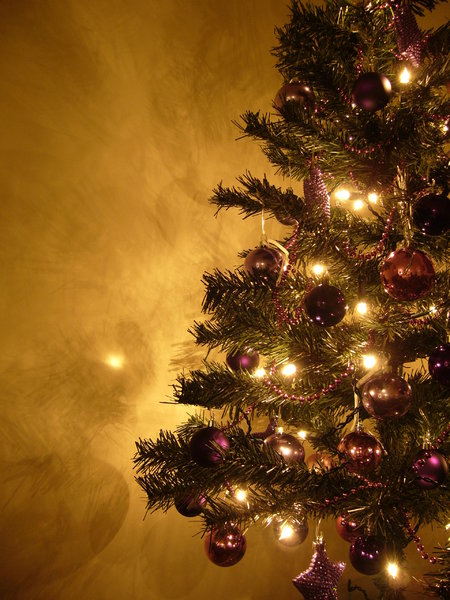 Detail Christmas Tree Photos Free Nomer 35