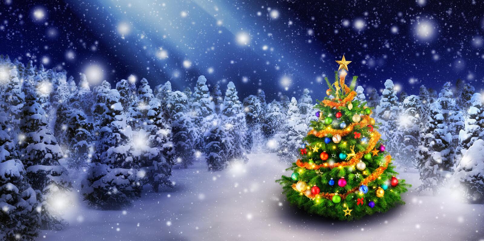 Detail Christmas Tree Photos Free Nomer 40