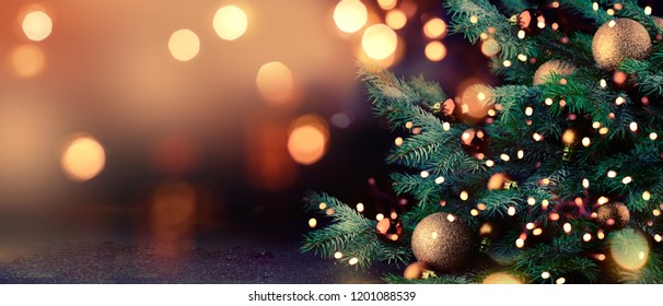 Detail Christmas Tree Photos Free Nomer 44