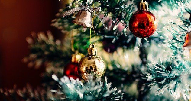 Detail Christmas Tree Pictures Free Nomer 14