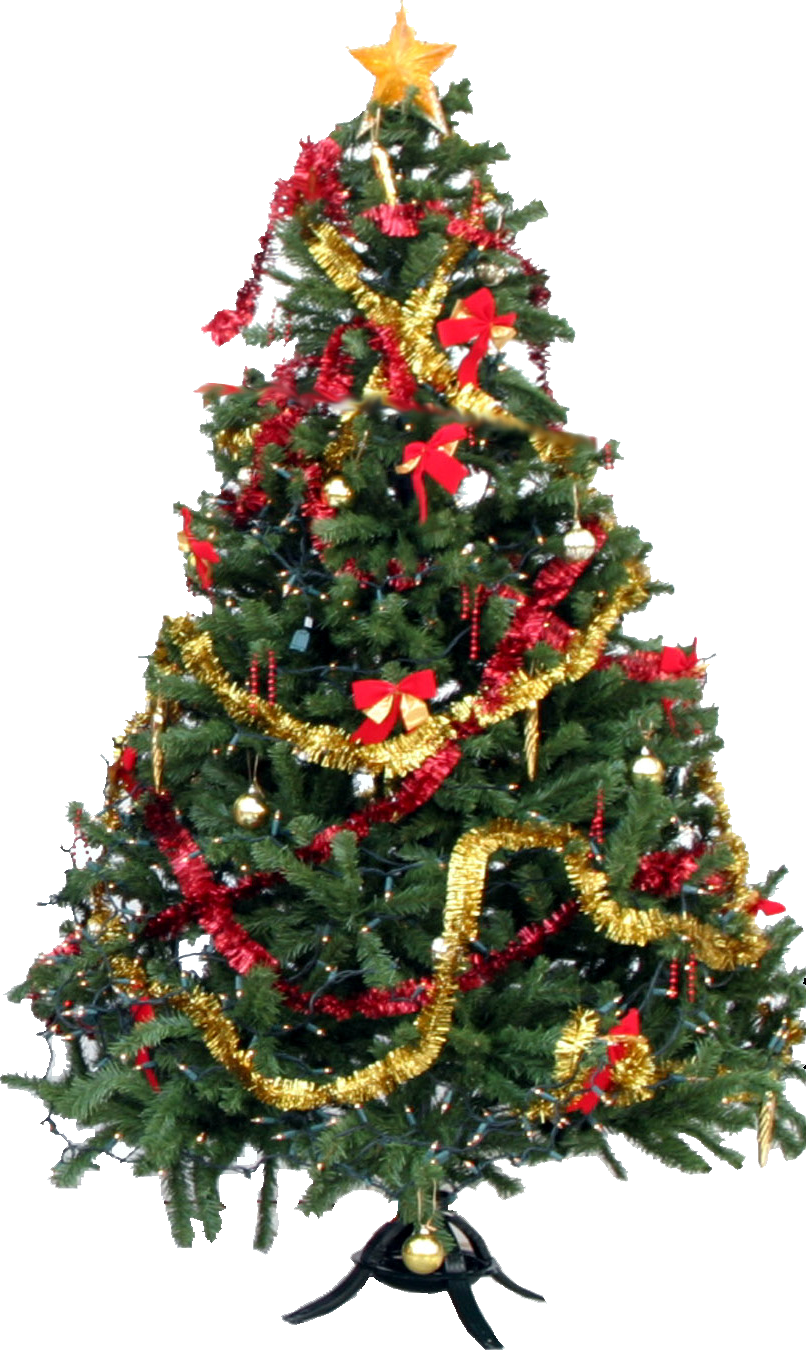 Detail Christmas Tree Png Free Nomer 16