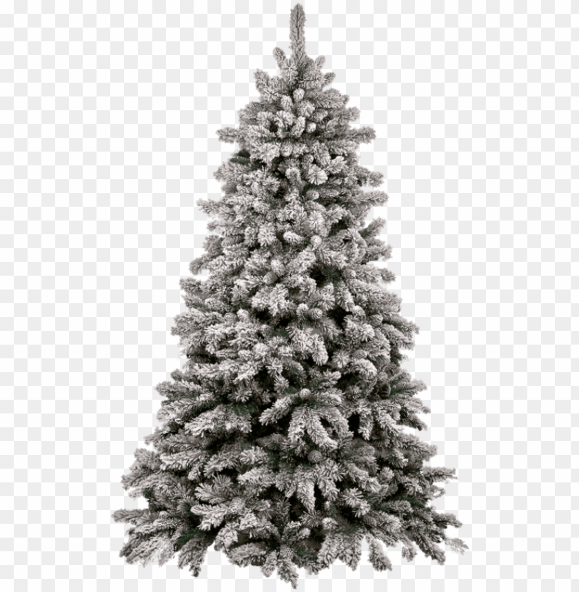 Detail Christmas Tree Png Free Nomer 20