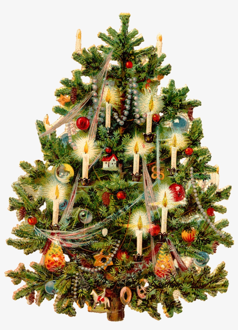 Detail Christmas Tree Png Free Nomer 27