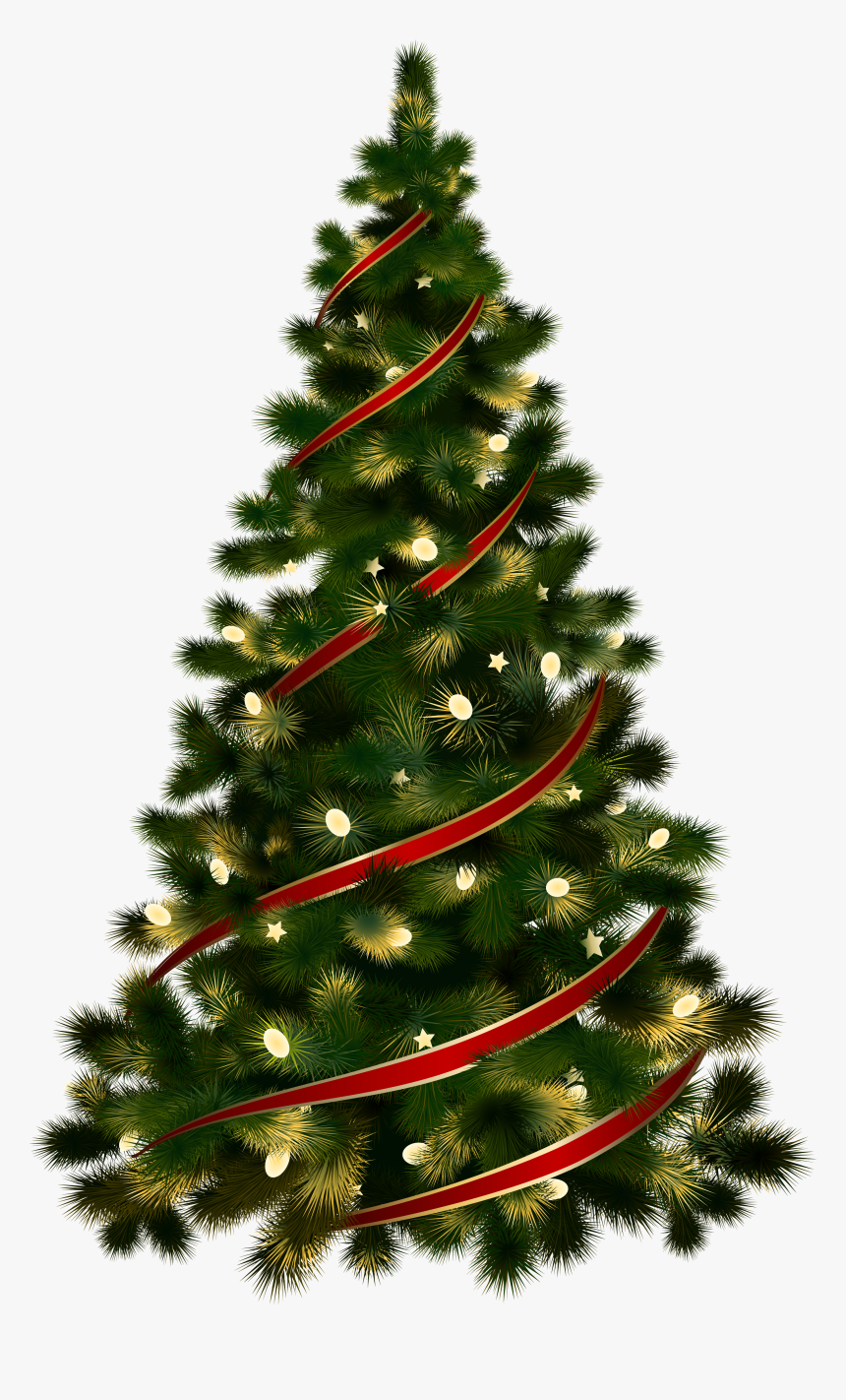 Detail Christmas Tree Transparent Nomer 5