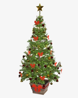 Detail Christmas Tree Transparent Png Nomer 39
