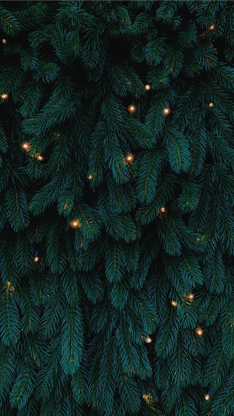 Detail Christmas Tree Wallpaper Nomer 22