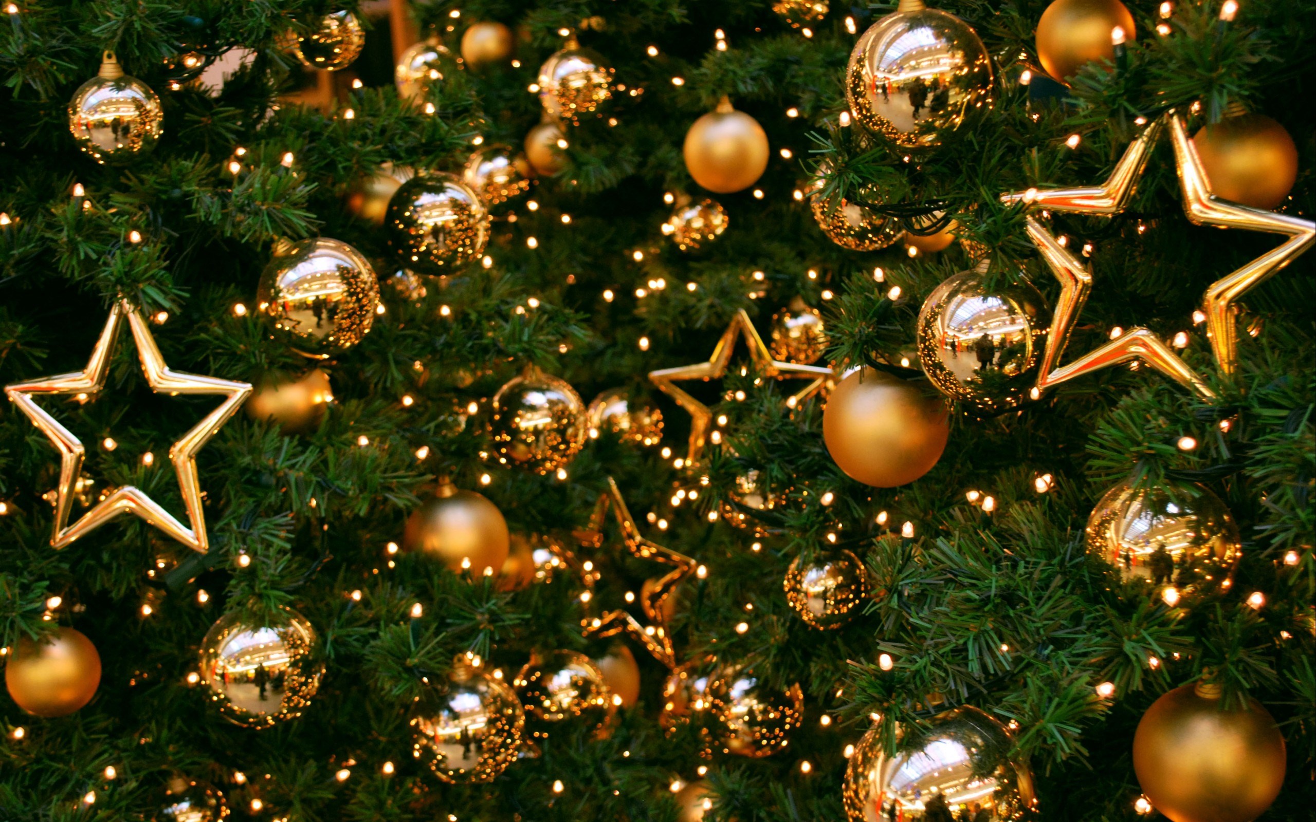 Detail Christmas Tree Wallpaper Nomer 29