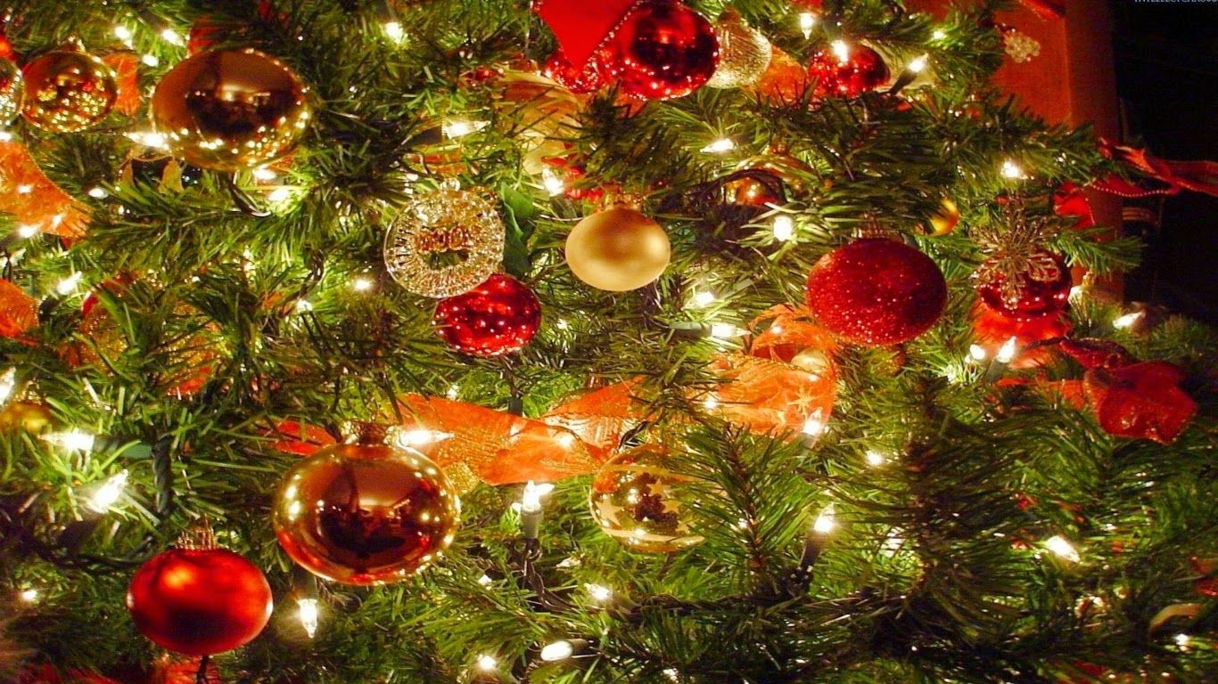 Detail Christmas Tree Wallpaper Hd Nomer 40