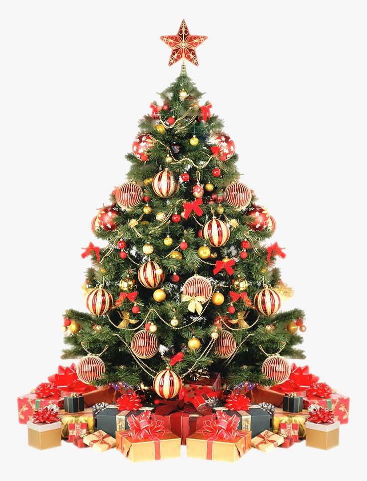 Detail Christmas Tree White Background Nomer 14