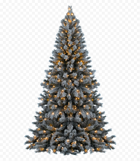 Detail Christmas Tree With Lights Png Nomer 2