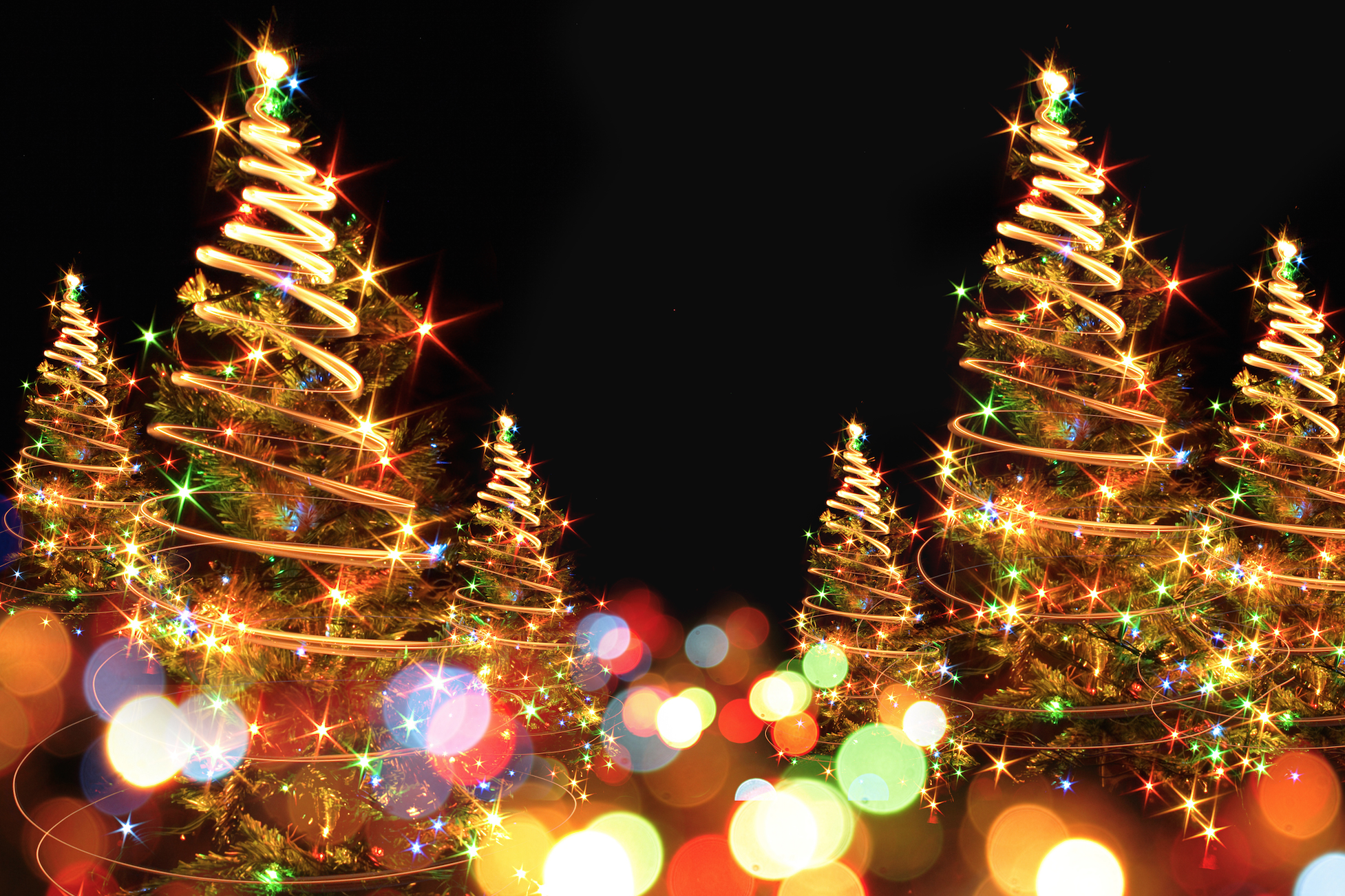 Detail Christmas Tree With Lights Png Nomer 36