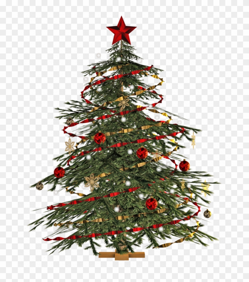 Detail Christmas Tree With Lights Png Nomer 41