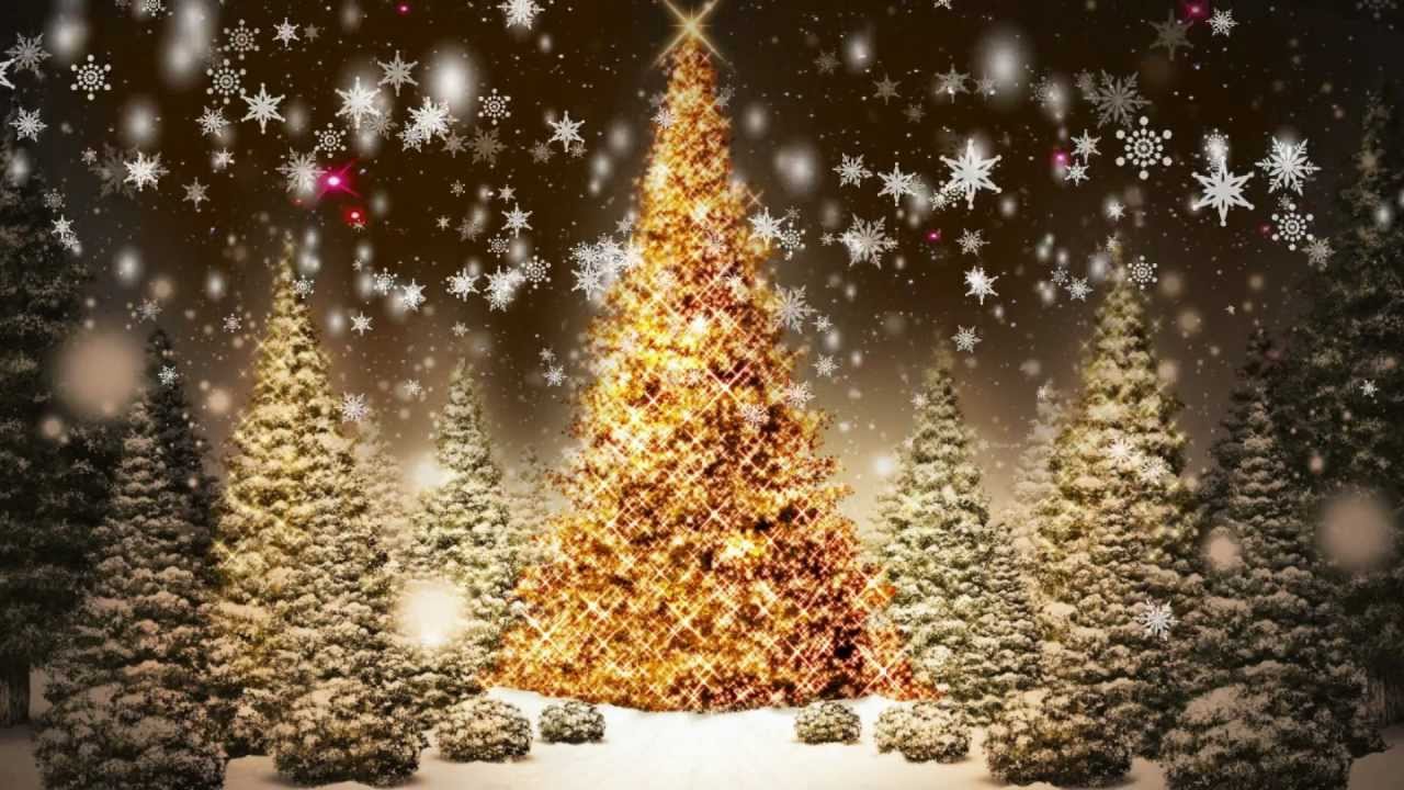 Detail Christmas Trees Pictures Free Nomer 21