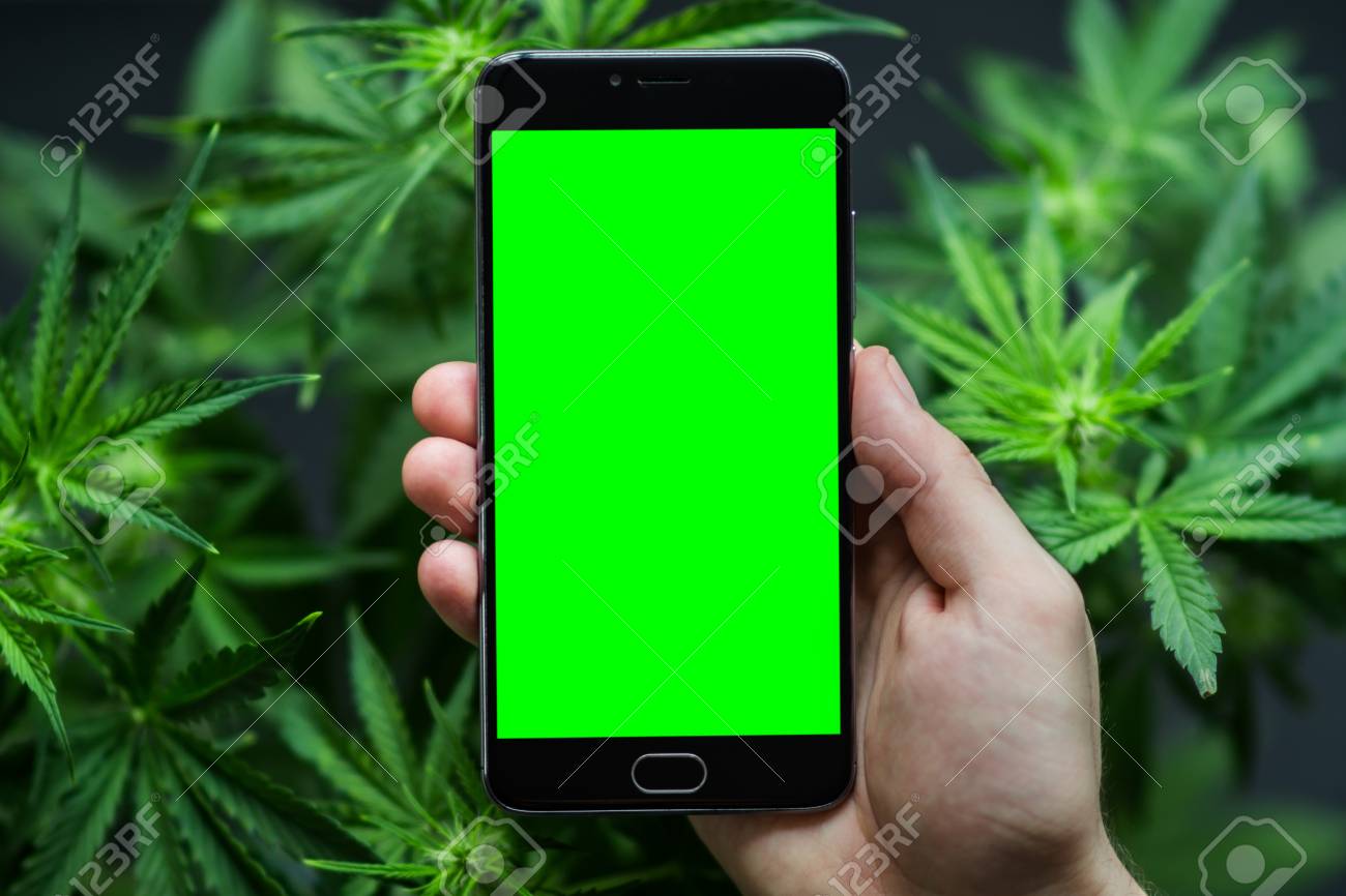 Detail Chroma Key Green Screen Nomer 46