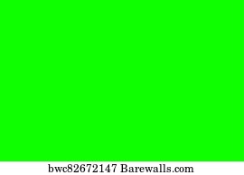 Detail Chroma Key Green Screen Nomer 48