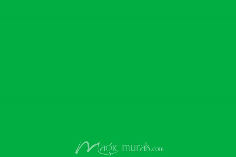 Detail Chroma Key Green Screen Nomer 53
