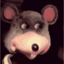 Detail Chuck E Cheese Mouse Meme Nomer 19