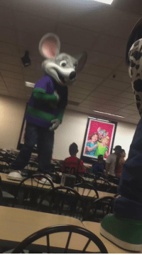 Detail Chuck E Cheese Mouse Meme Nomer 34