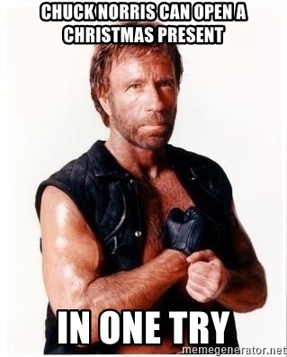 Detail Chuck Norris Christmas Meme Nomer 17