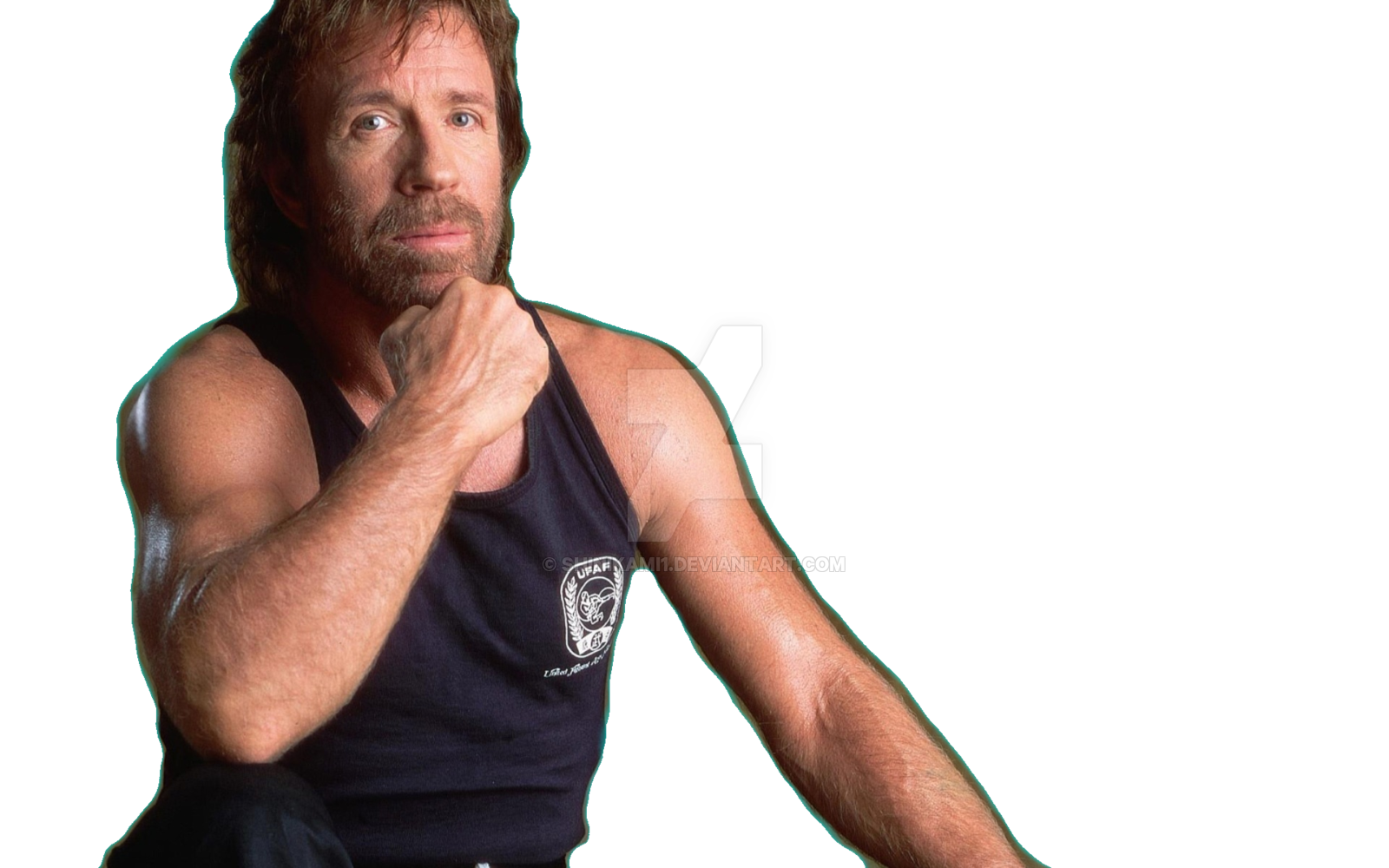 Detail Chuck Norris Clip Art Nomer 41