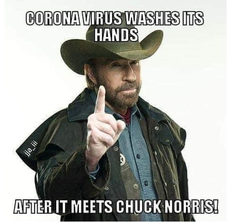 Detail Chuck Norris Corona Virus Meme Nomer 15