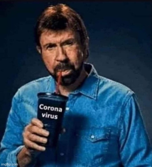 Detail Chuck Norris Corona Virus Meme Nomer 18