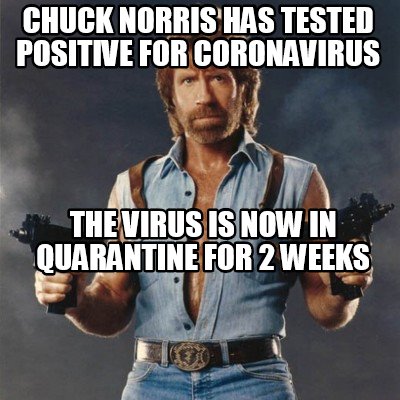 Detail Chuck Norris Corona Virus Meme Nomer 22