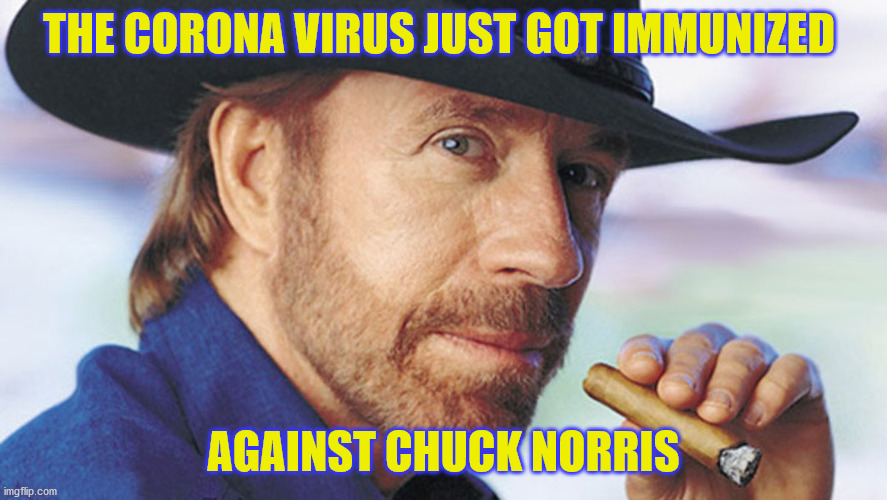 Detail Chuck Norris Corona Virus Meme Nomer 26