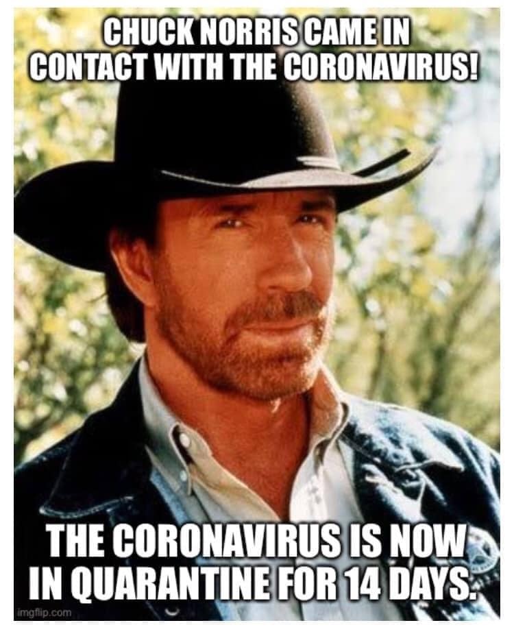 Detail Chuck Norris Coronavirus Meme Nomer 5