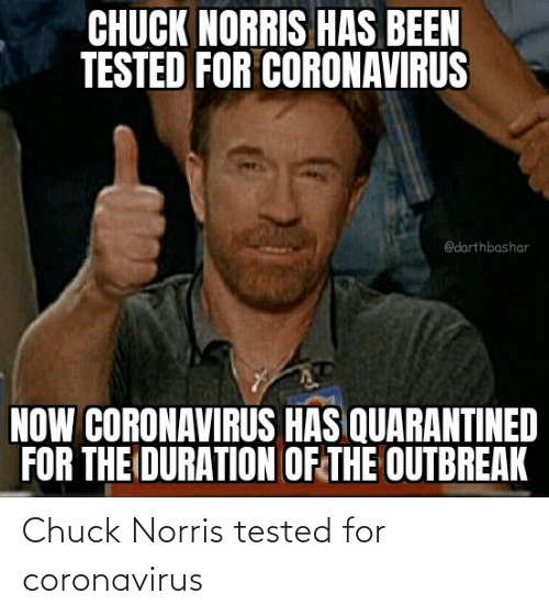 Detail Chuck Norris Coronavirus Meme Nomer 41