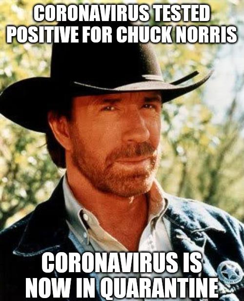 Detail Chuck Norris Coronavirus Meme Nomer 8