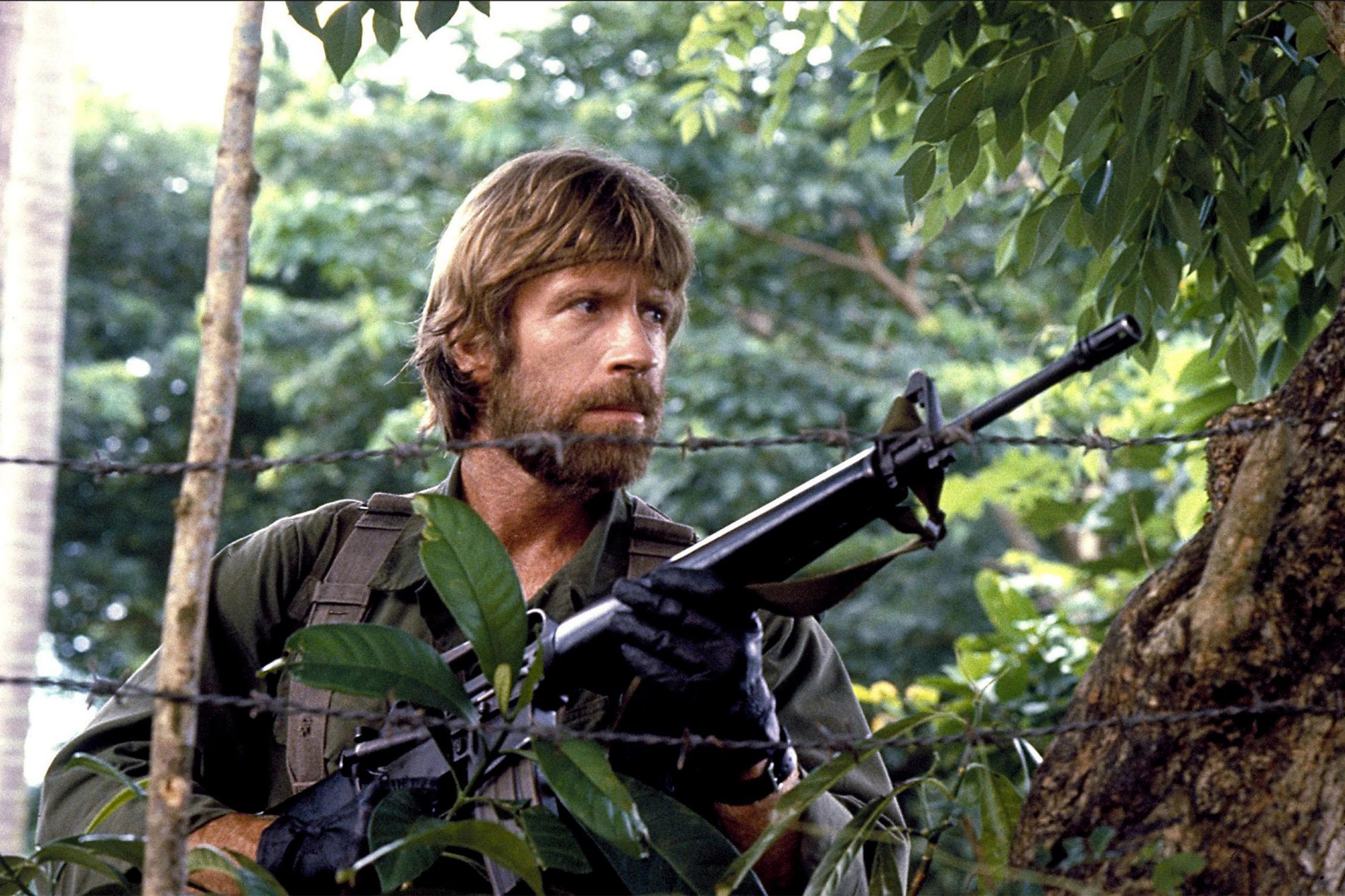 Detail Chuck Norris Photos Nomer 28