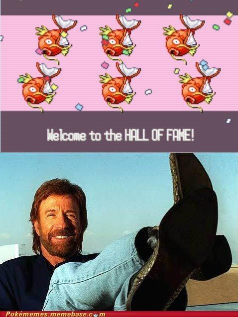 Detail Chuck Norris Pokemon Meme Nomer 10