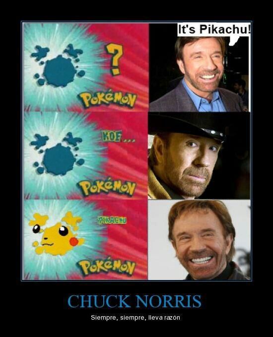 Detail Chuck Norris Pokemon Meme Nomer 4