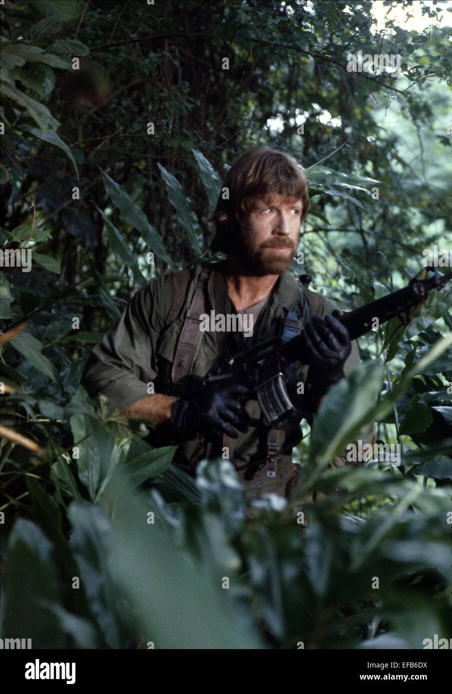 Detail Chuck Norris Sniper Video Download Nomer 24