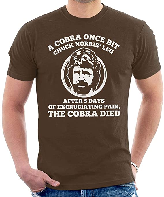 Detail Chuck Norris T Shirts For Sale Nomer 2