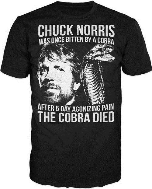 Detail Chuck Norris Tee Shirts Nomer 2