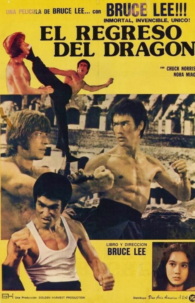 Detail Chuck Norris Y Bruce Lee Nomer 25