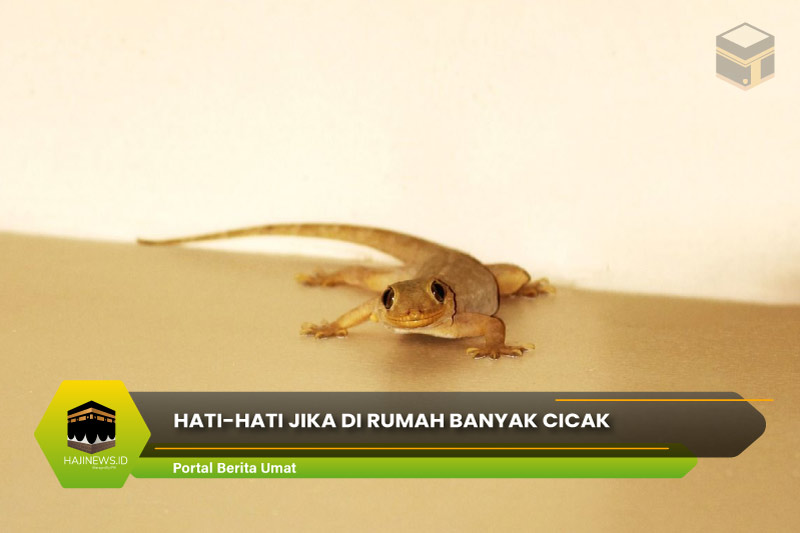 Detail Cicak Mati Di Rumah Nomer 53