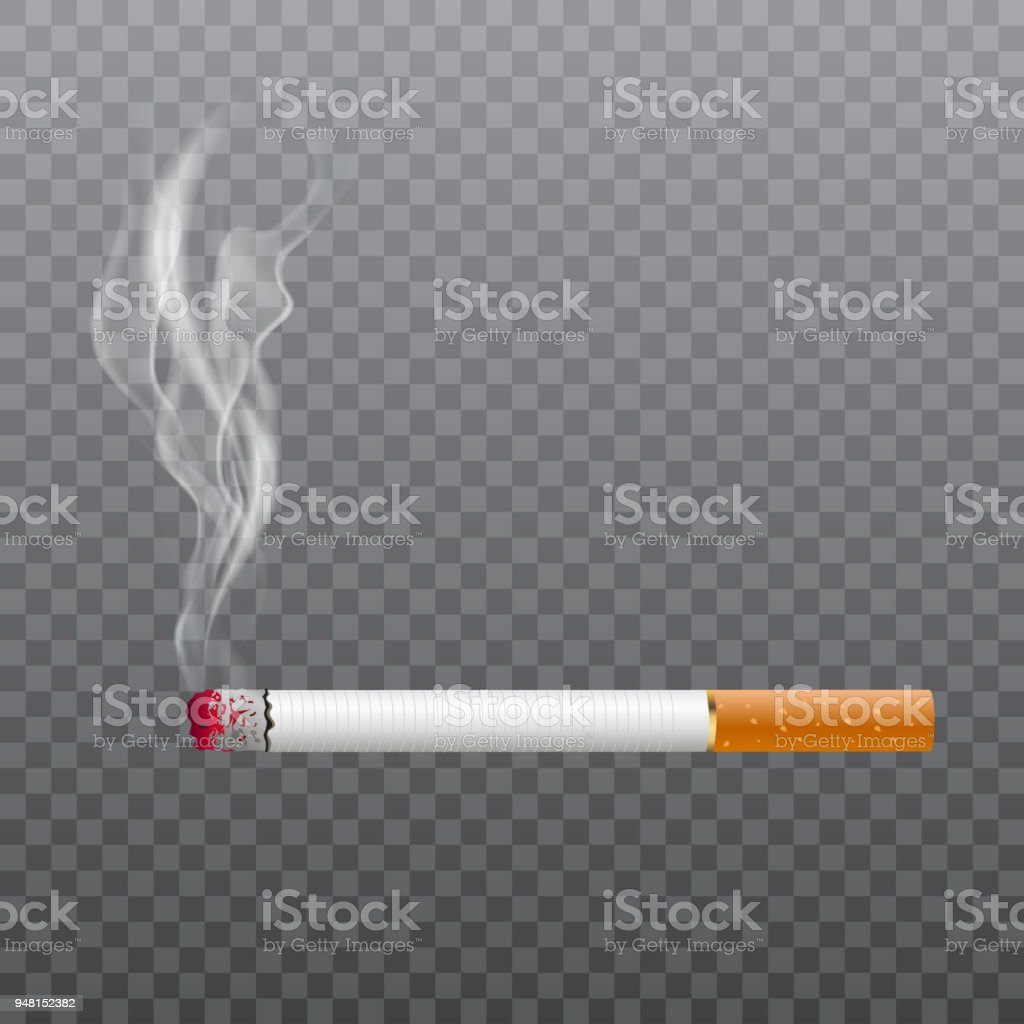 Detail Cigarette No Background Nomer 11