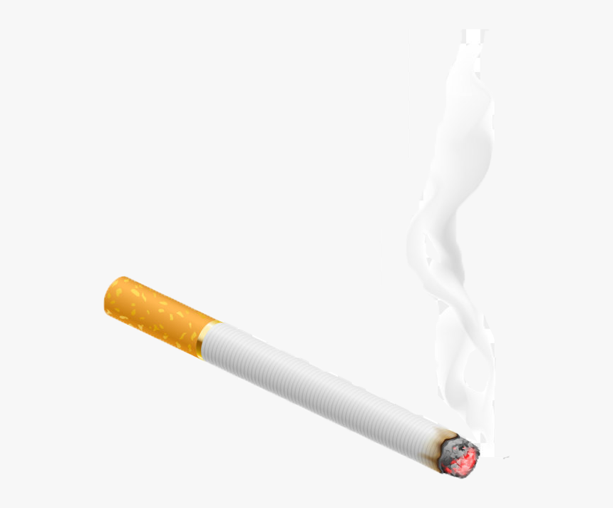 Detail Cigarette No Background Nomer 16