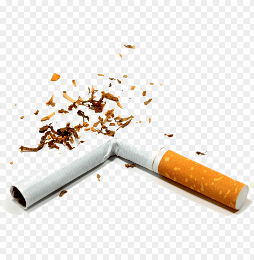 Detail Cigarette No Background Nomer 17