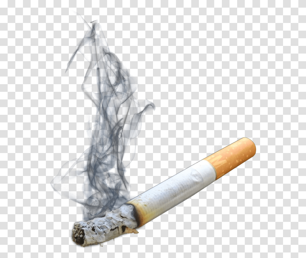 Detail Cigarette No Background Nomer 19