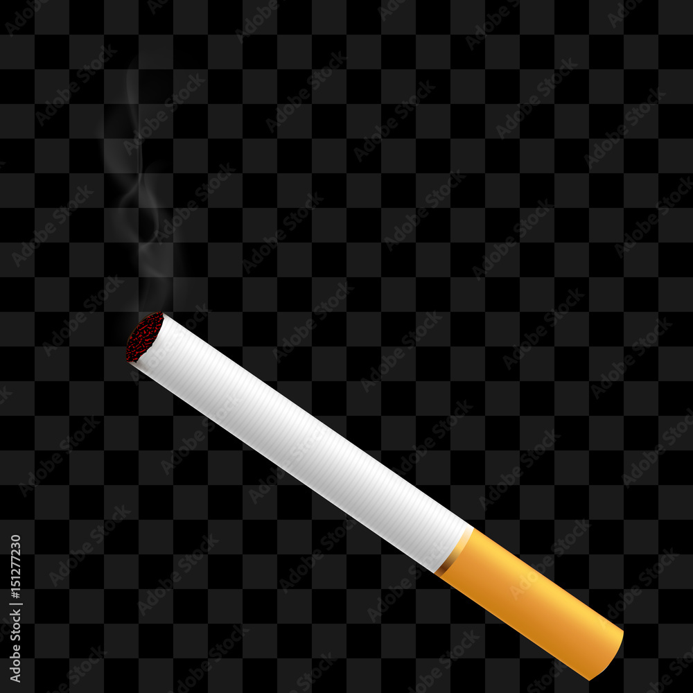 Detail Cigarette No Background Nomer 42