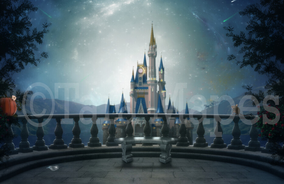 Detail Cinderella Backgrounds Nomer 20