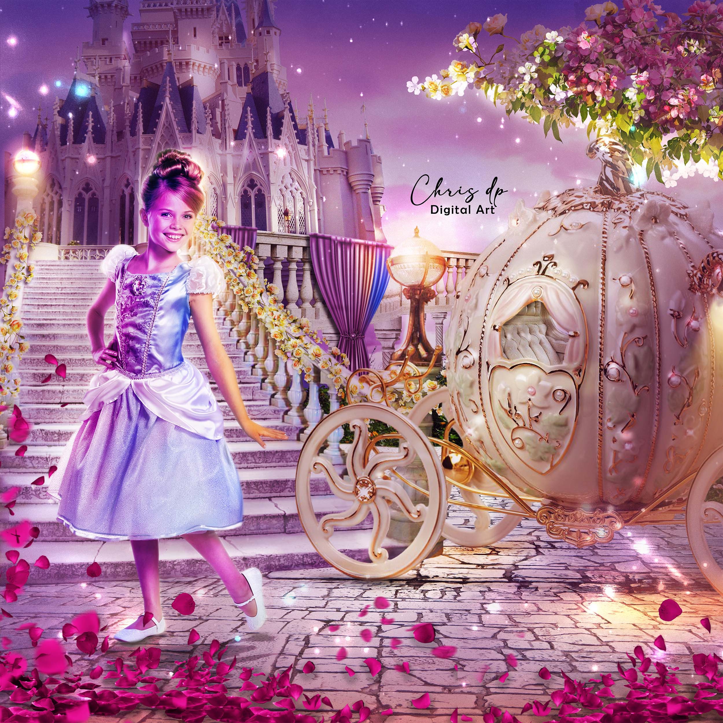 Detail Cinderella Backgrounds Nomer 26