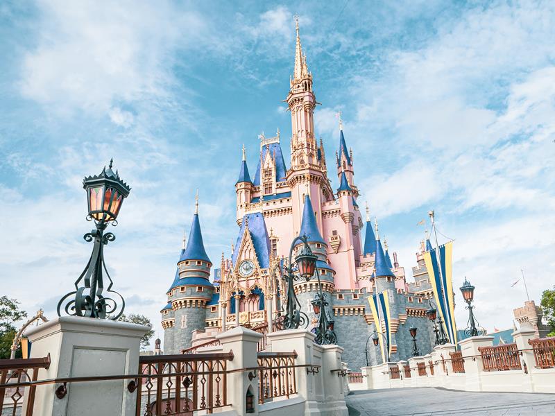 Detail Cinderella Backgrounds Nomer 57