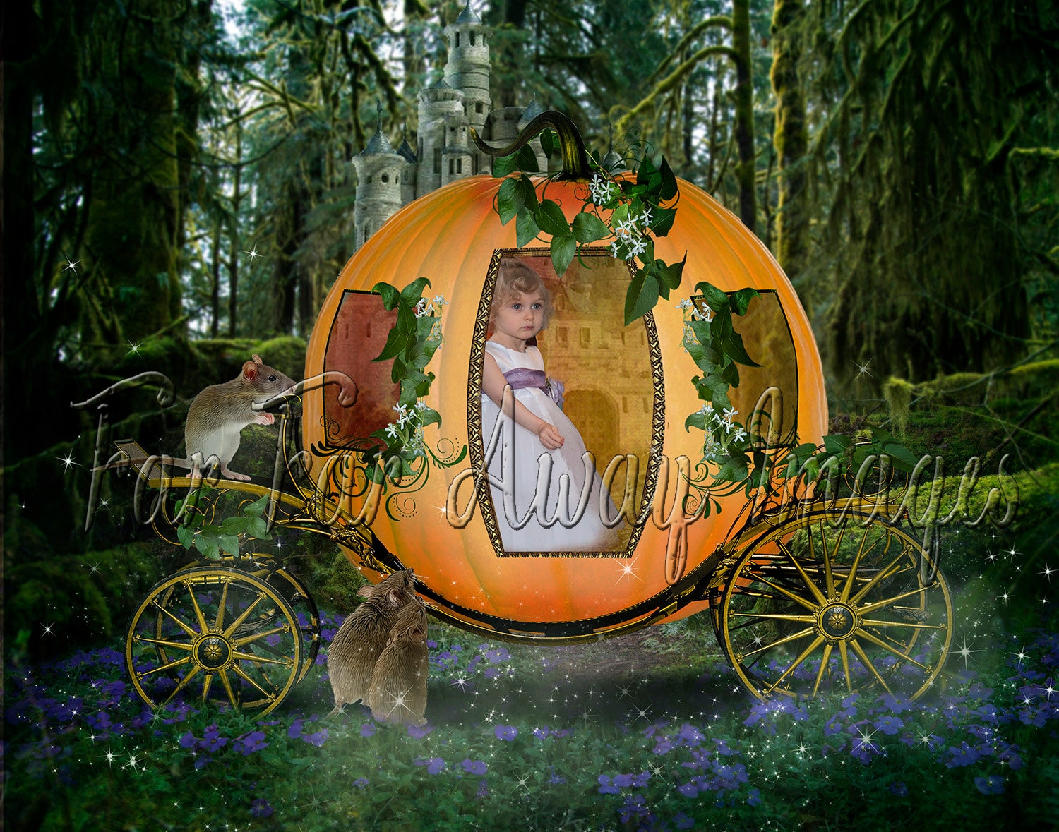 Detail Cinderella Pumpkin Carriage Bed Nomer 42